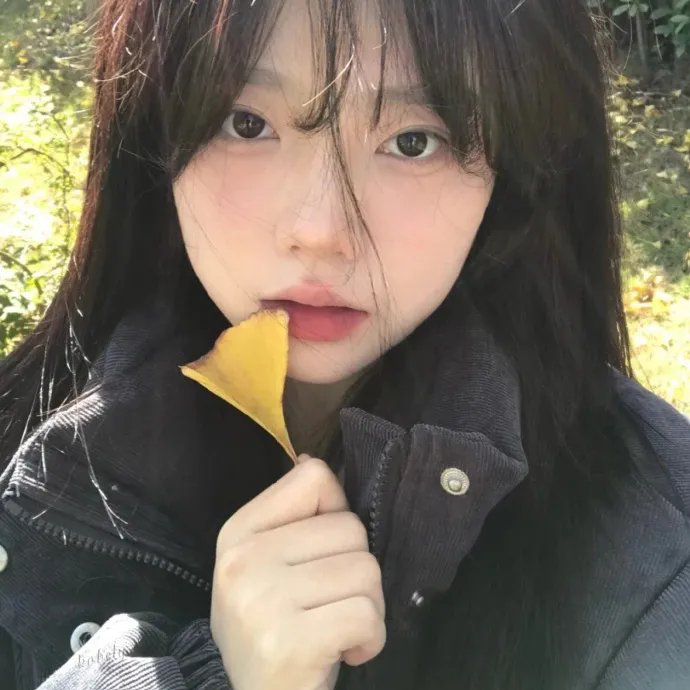 苏菲的世界